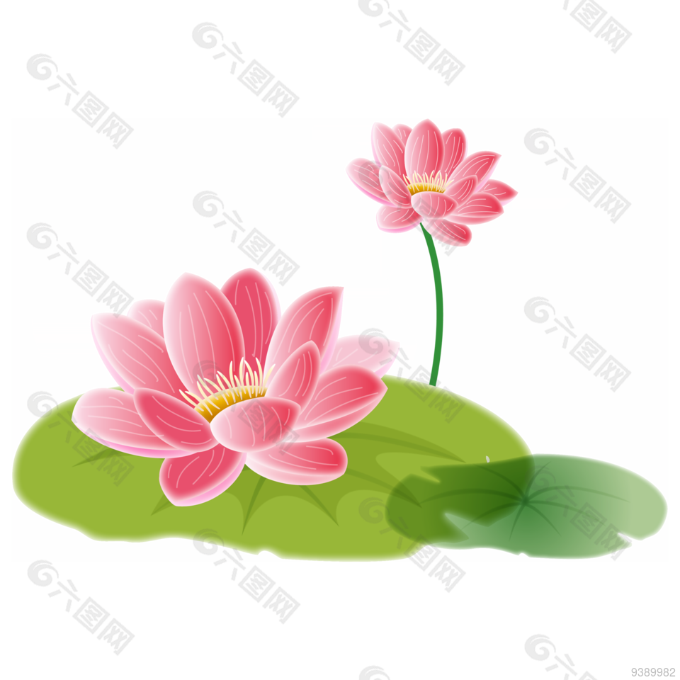 荷花荷叶元素设计