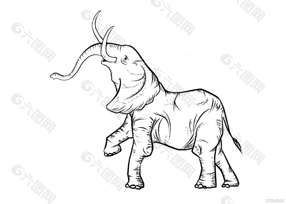 大象线稿黑白动物图片下载