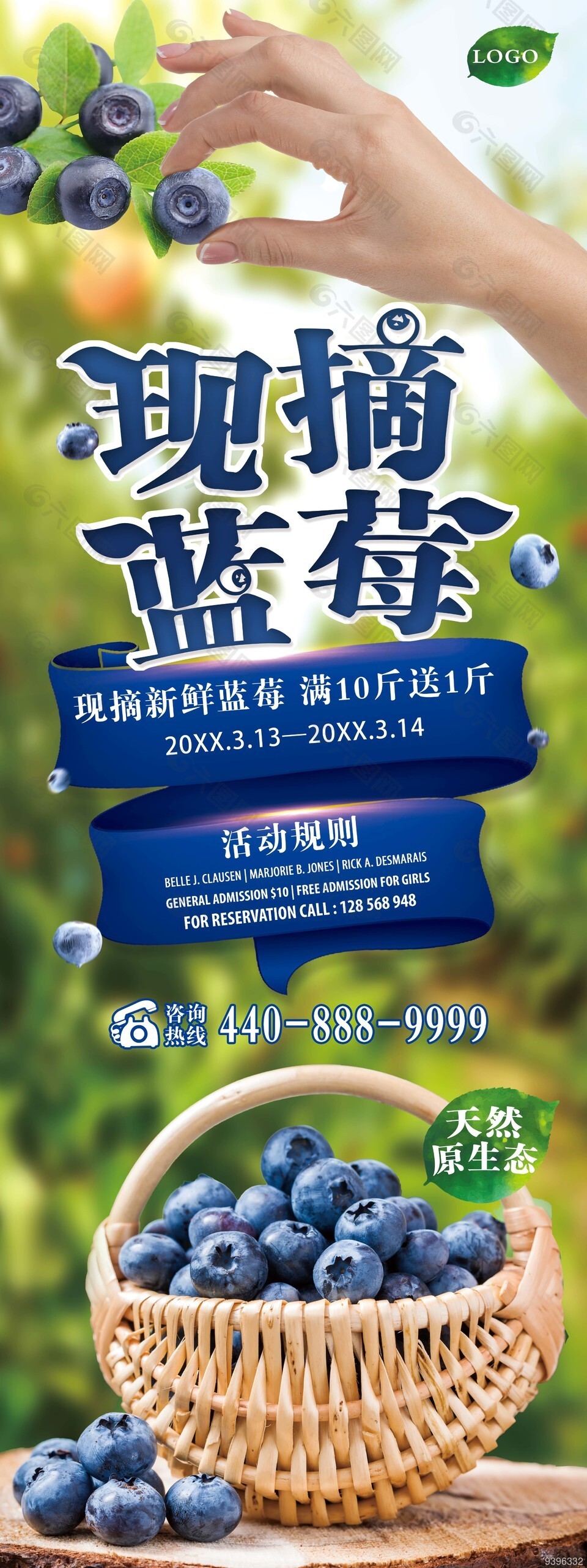 现摘新鲜蓝莓活动易拉宝素材模板