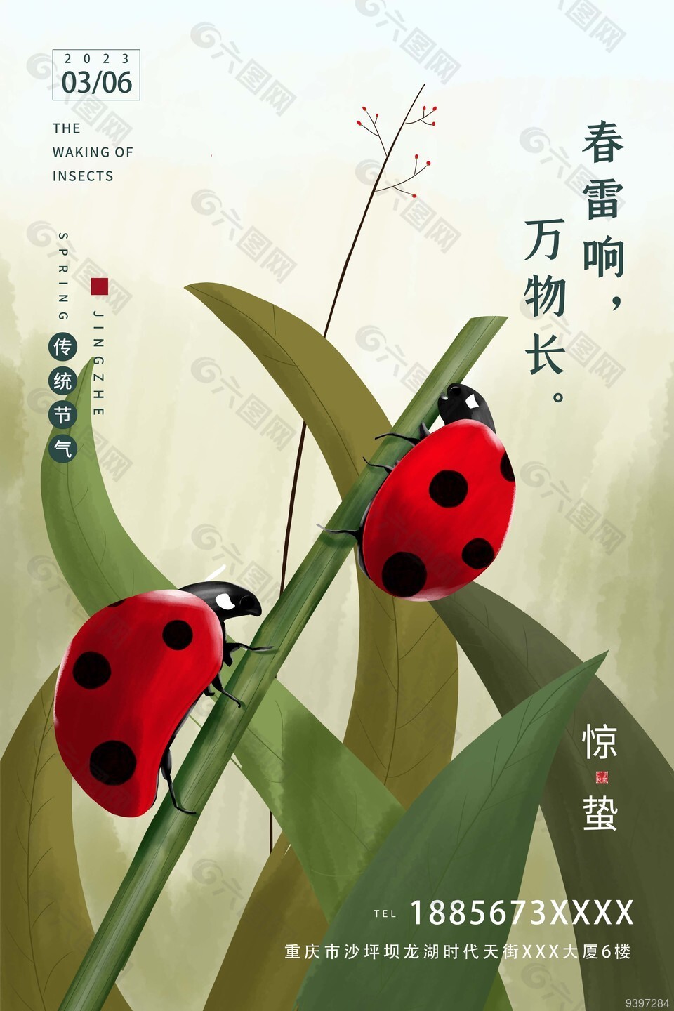 绿叶瓢虫插画惊蛰节气海报下载
