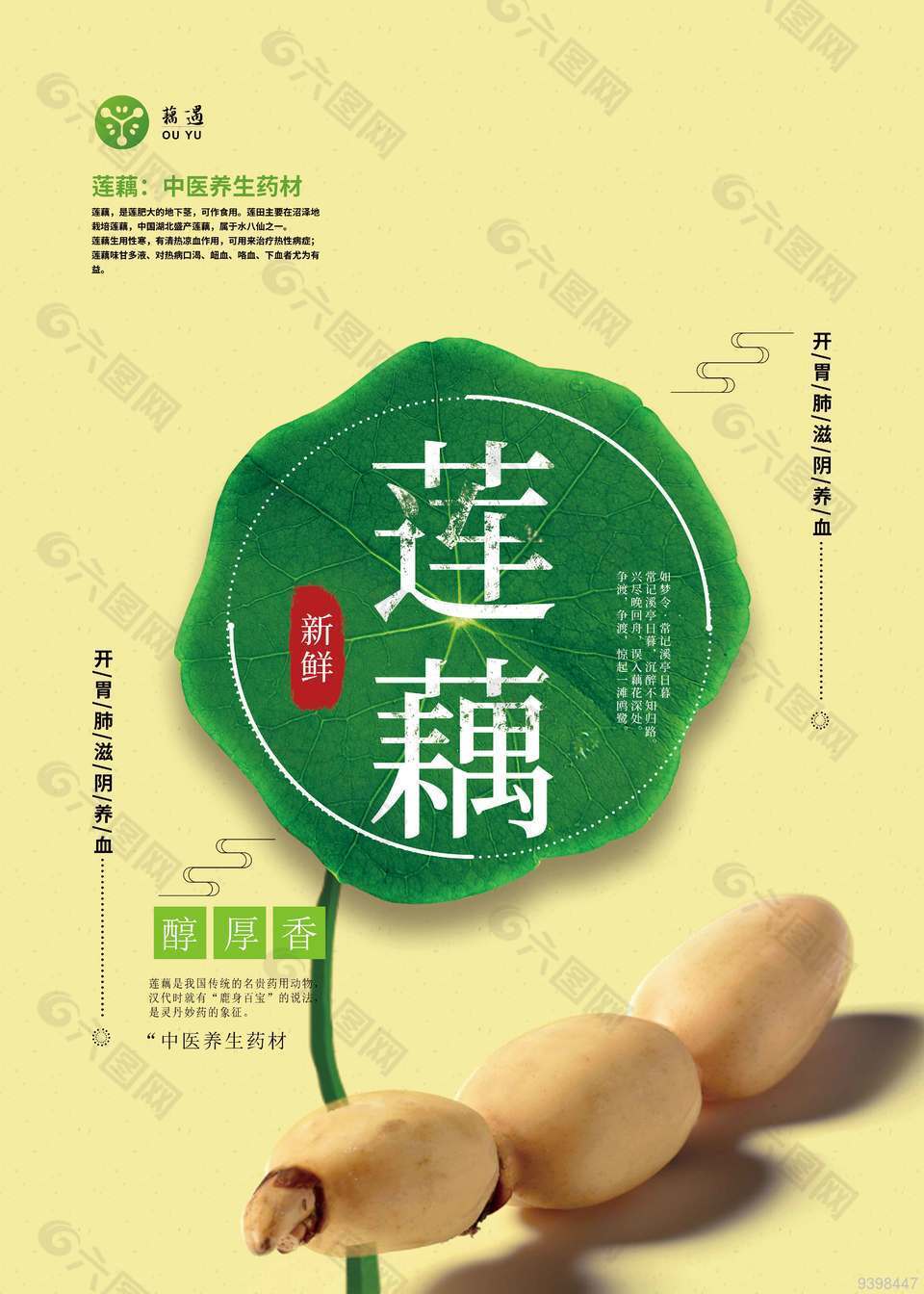 新鲜莲藕海报设计