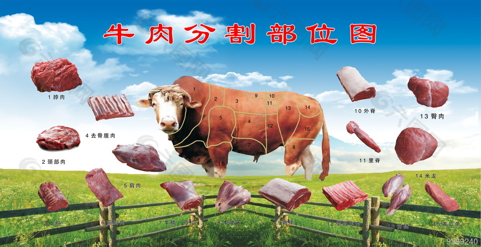 牛肉分割部位图海报素材下载
