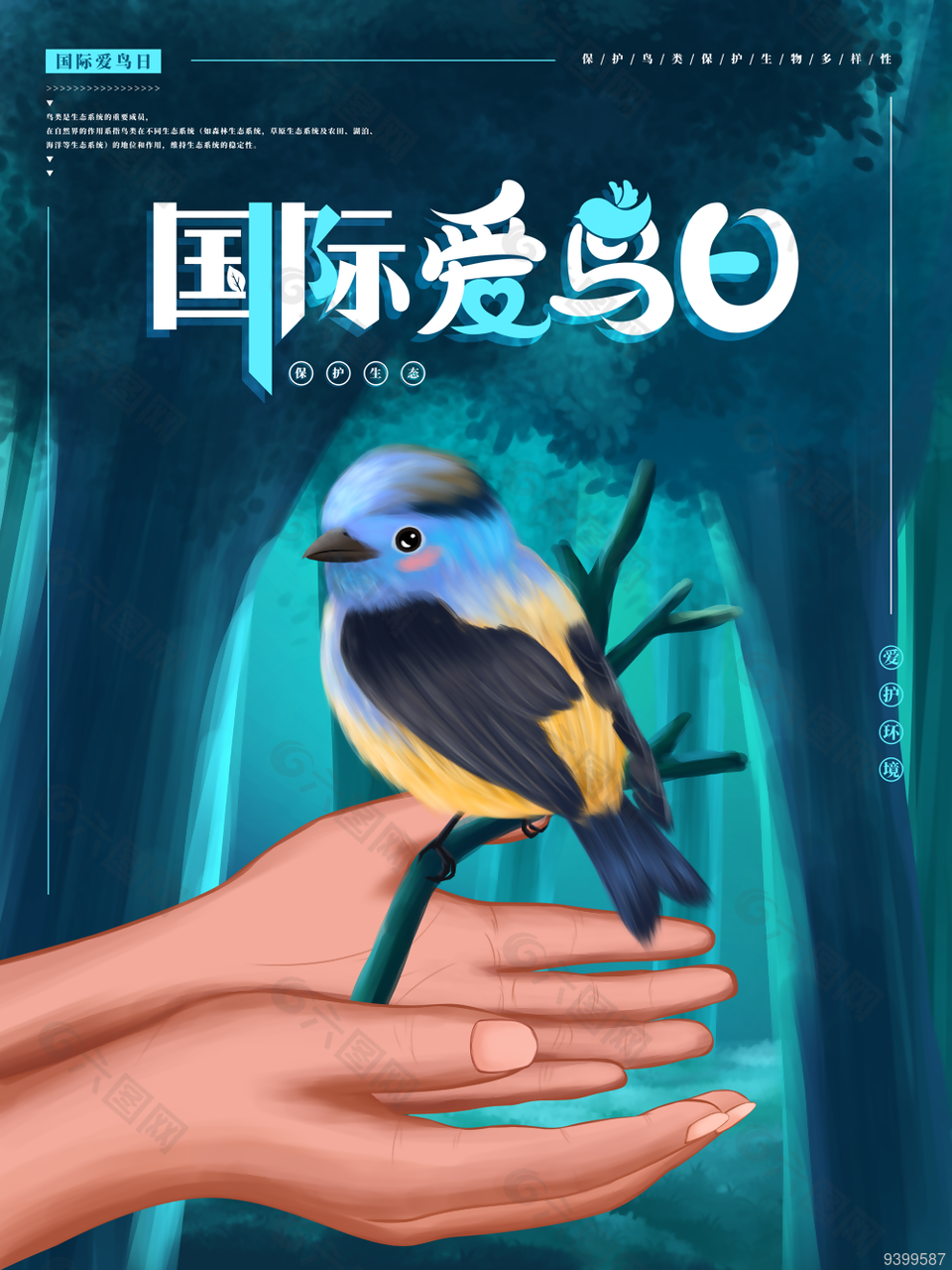 国际爱鸟日保护鸟类图片设计