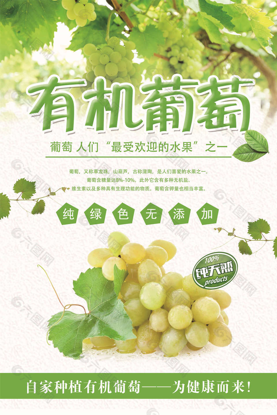 有机葡萄种植海报设计