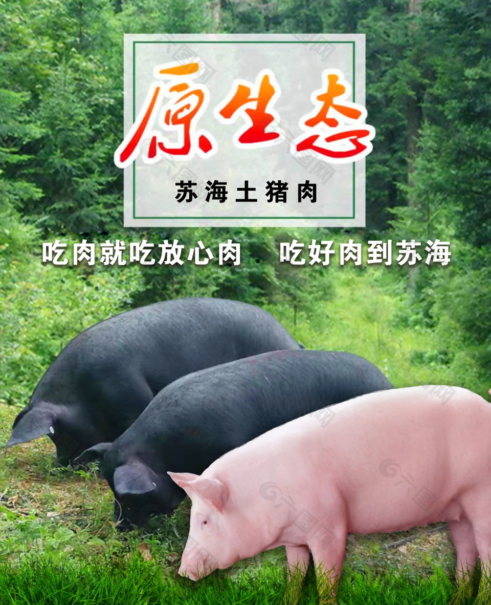 原生态猪肉美食海报设计下载