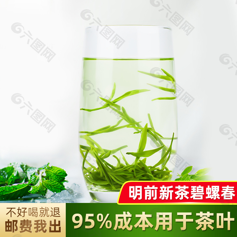 绿色碧螺春茶叶主图下载