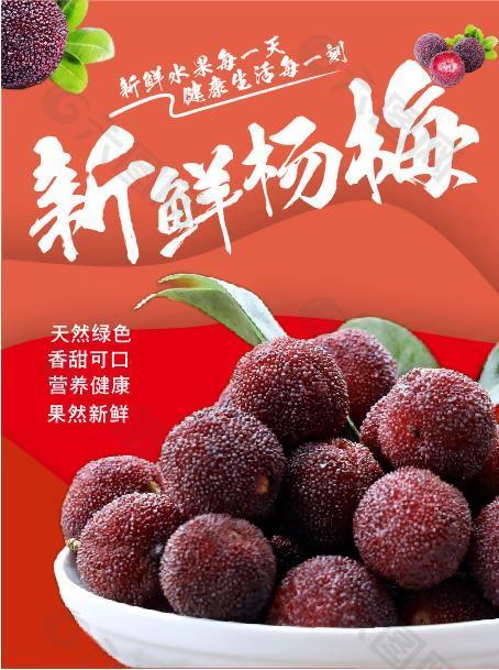 营养健康杨梅海报素材