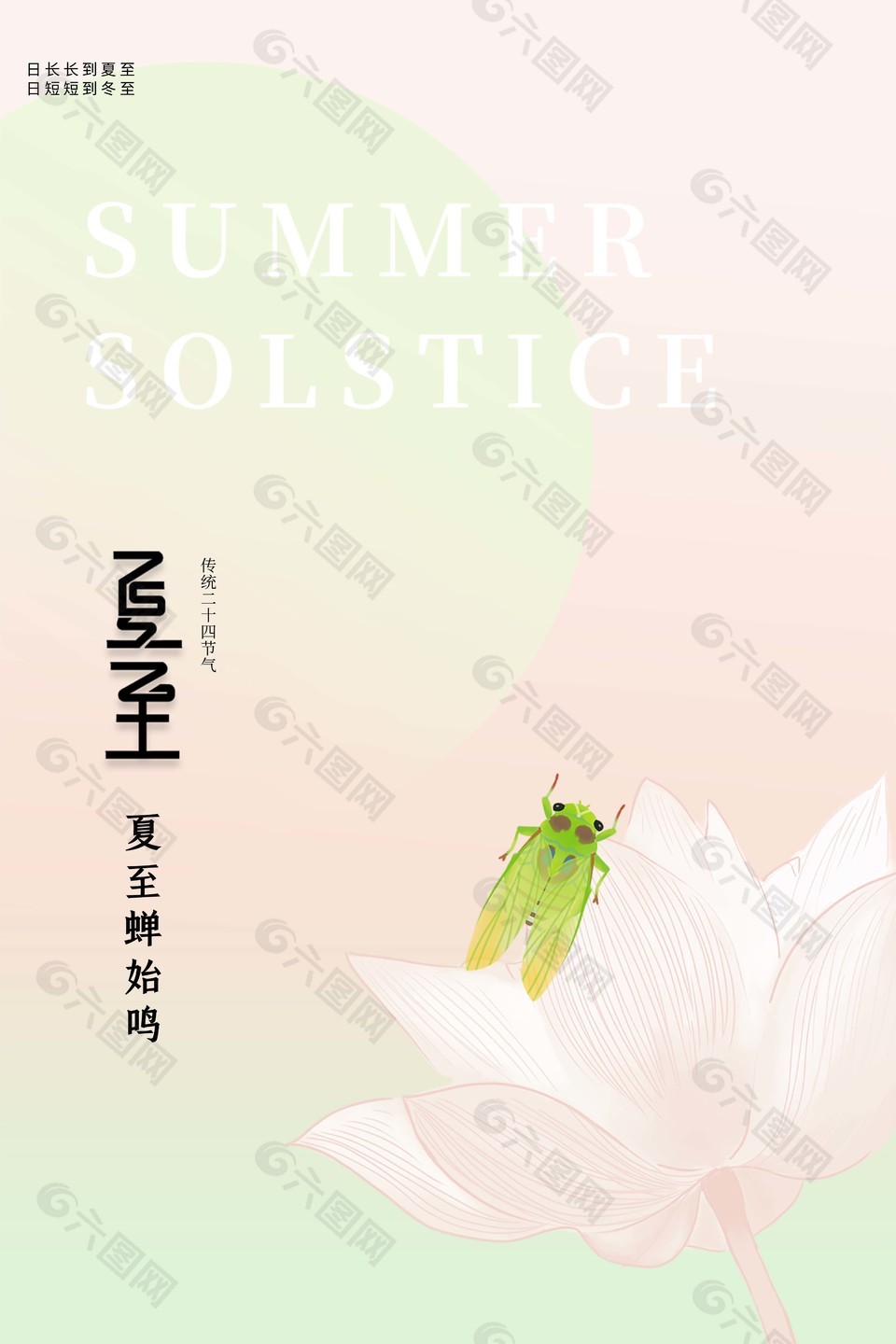 夏至节气手绘蝉插画清新海报设计