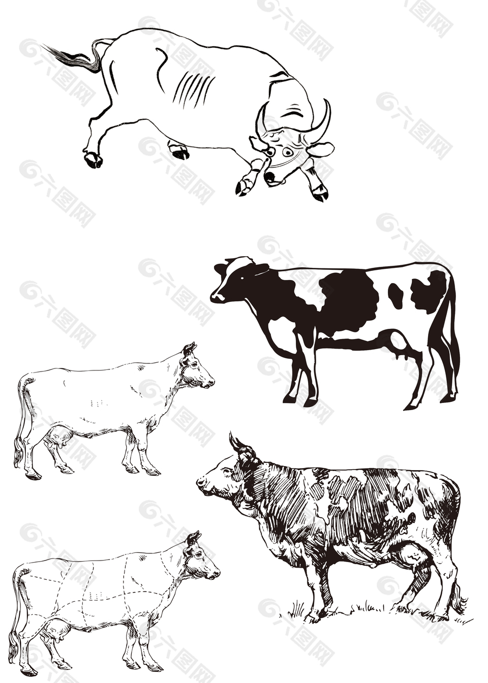 黑白线条牛素材设计