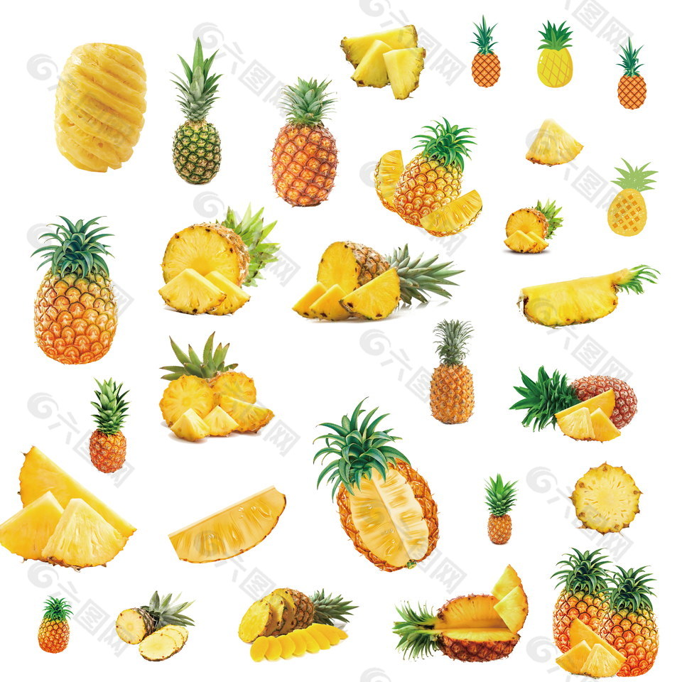 菠萝素材图片