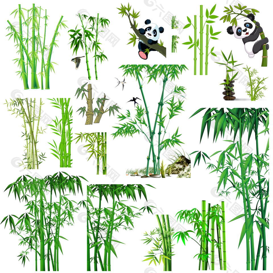 绿色竹子素材图片