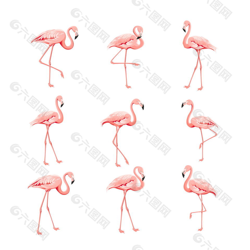 卡通火烈鸟素材下载