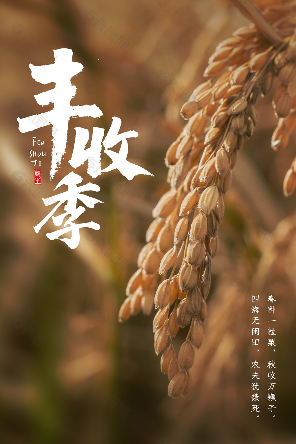 秋季丰收节海报