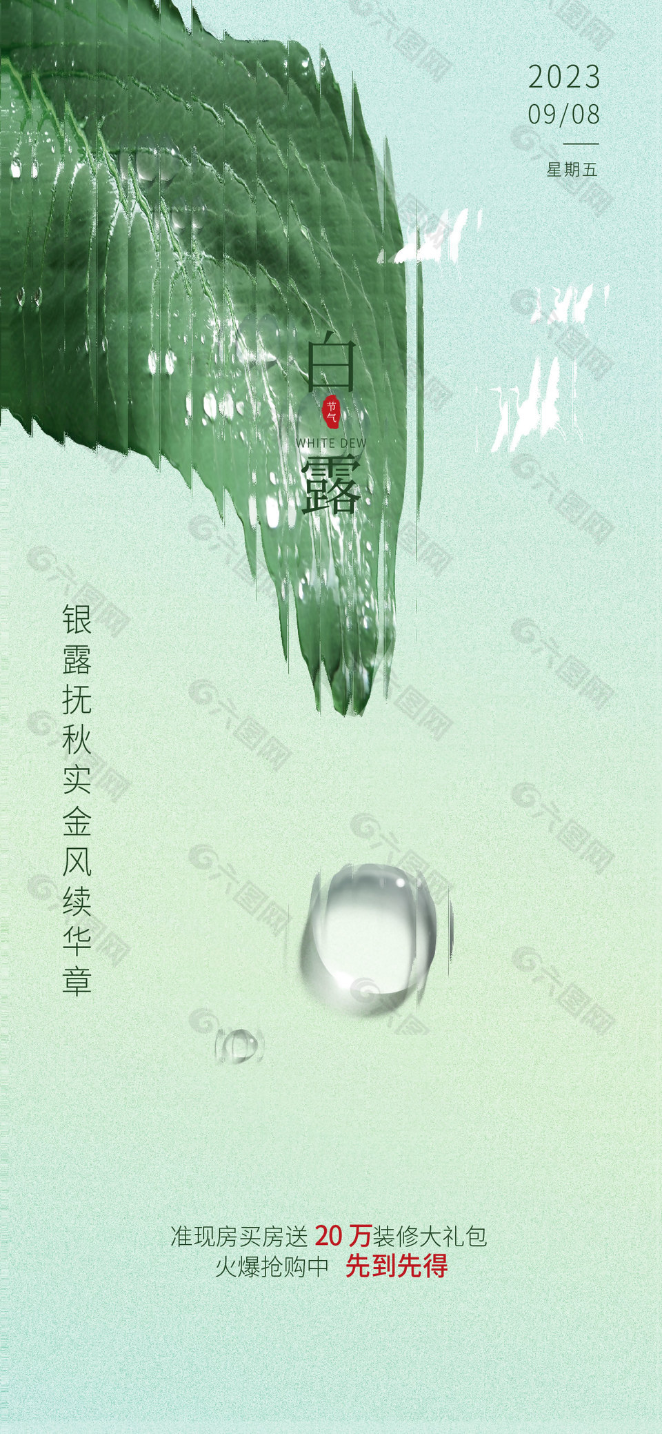 白露简约清新风格海报素材