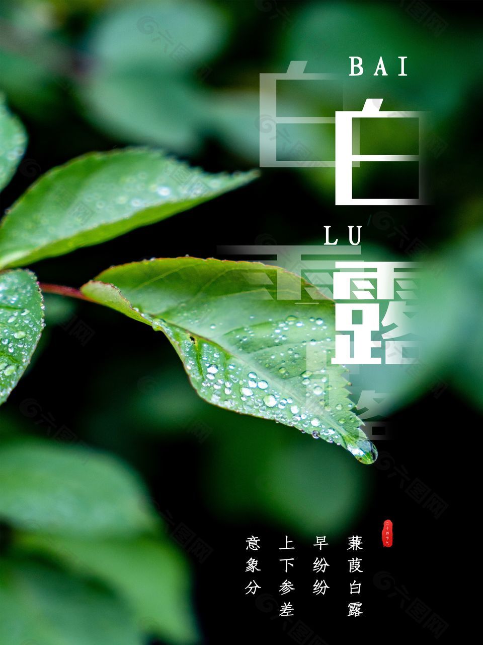 白露时节创意绿叶海报素材