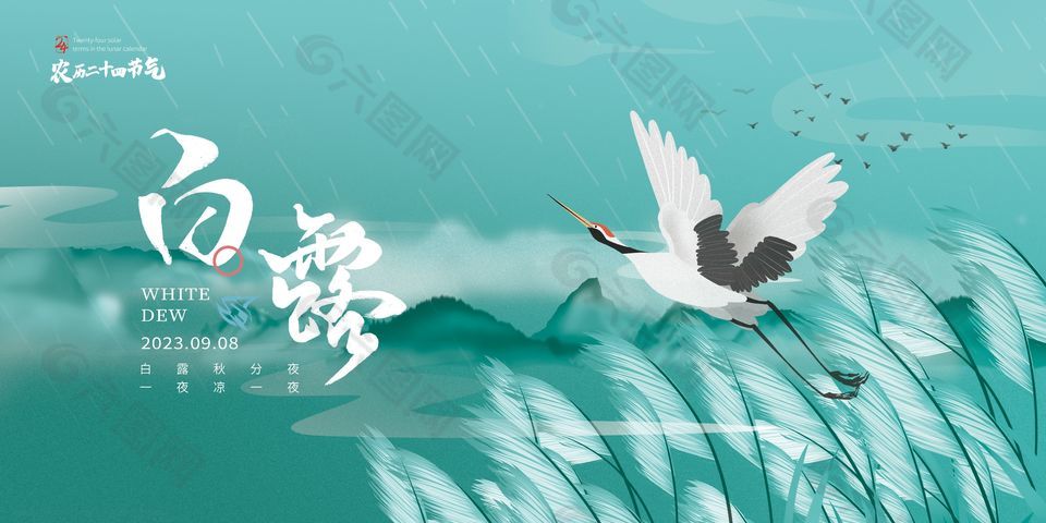 农历白露节气仙鹤芦苇插画背景展板素材