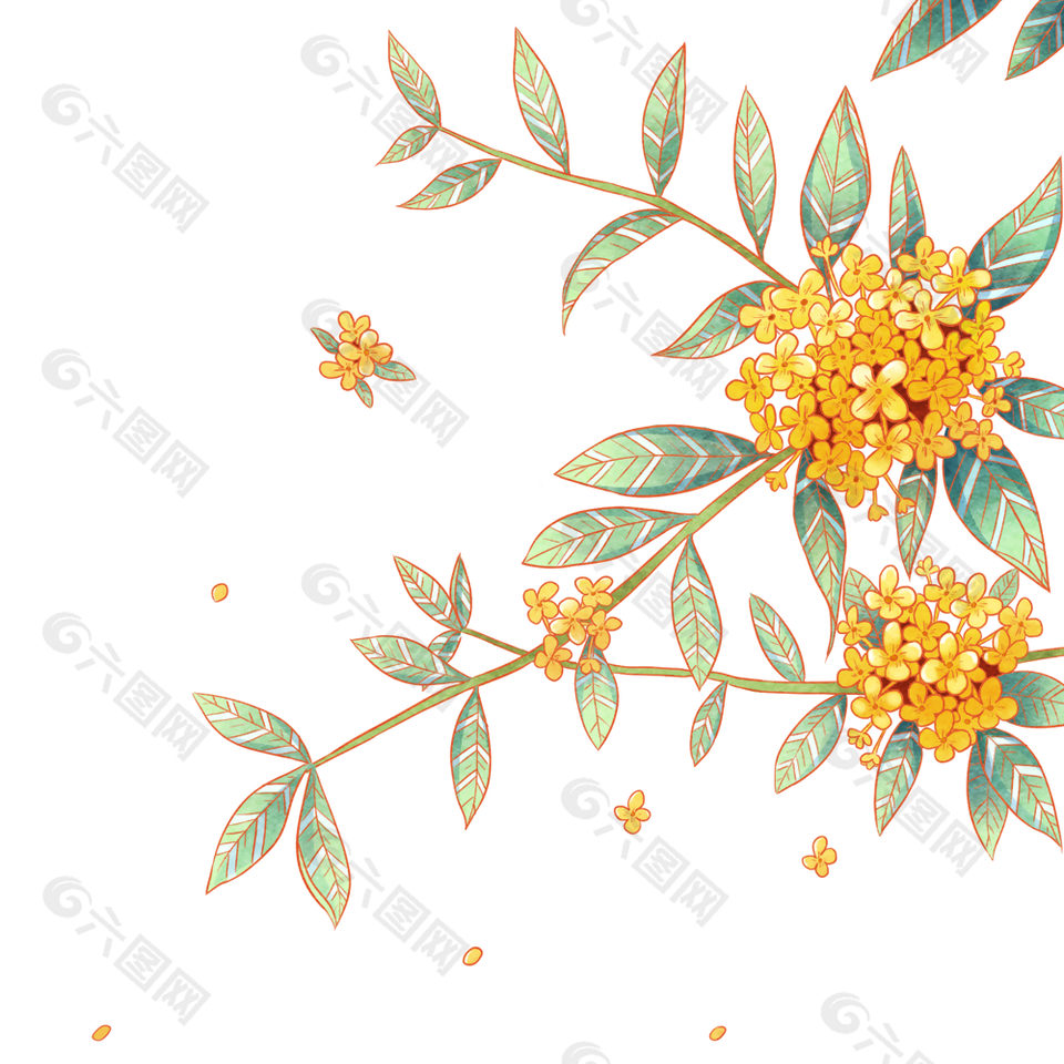 创意简约小清新水彩手绘桂花素材设计