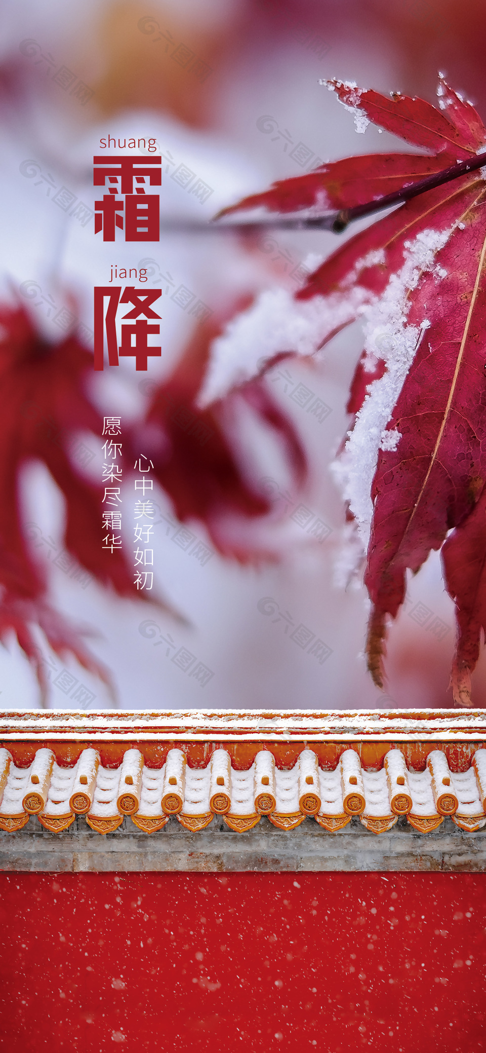 霜降节气红色枫叶摄影图中国风海报素材
