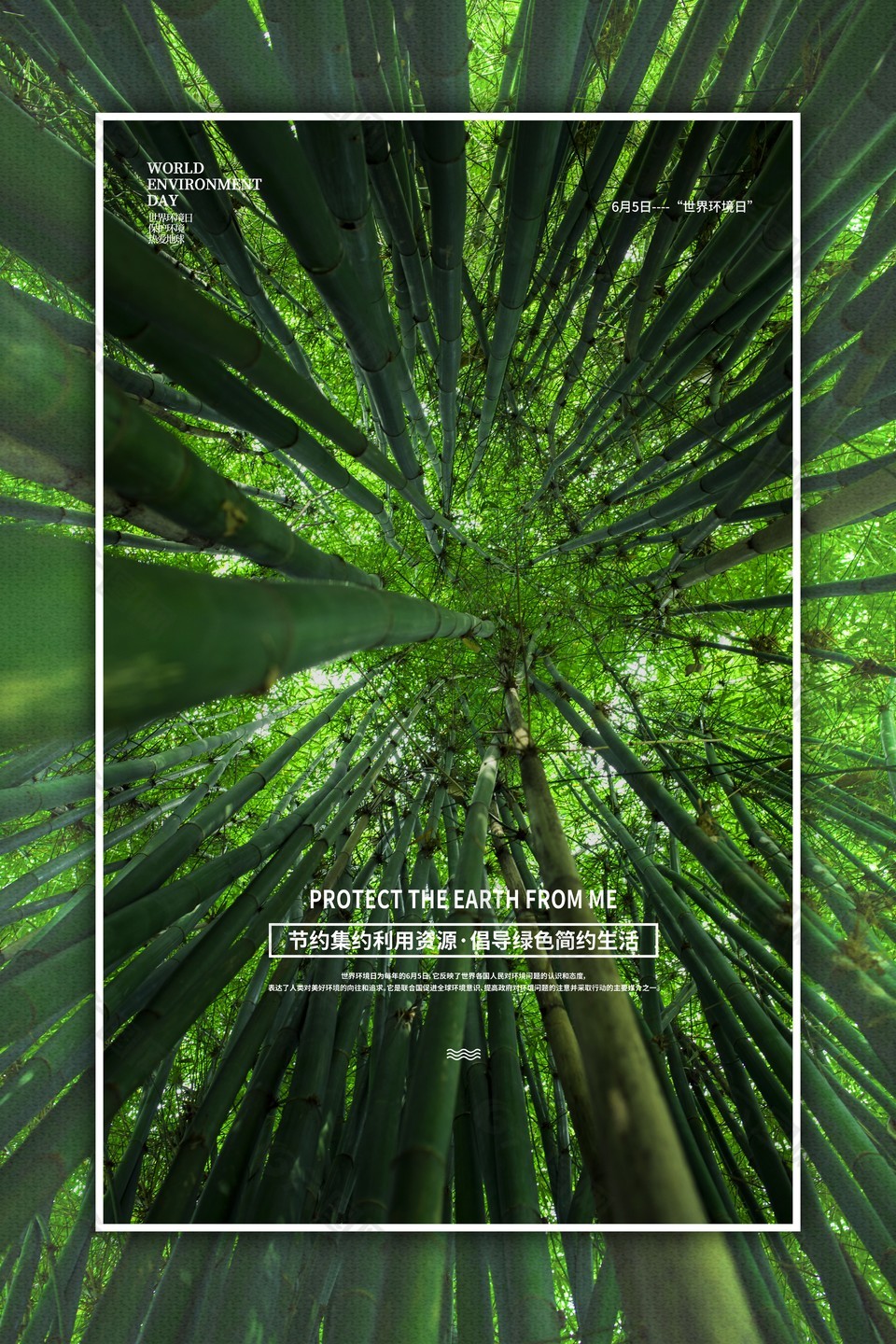 环境日绿竹元素创意海报