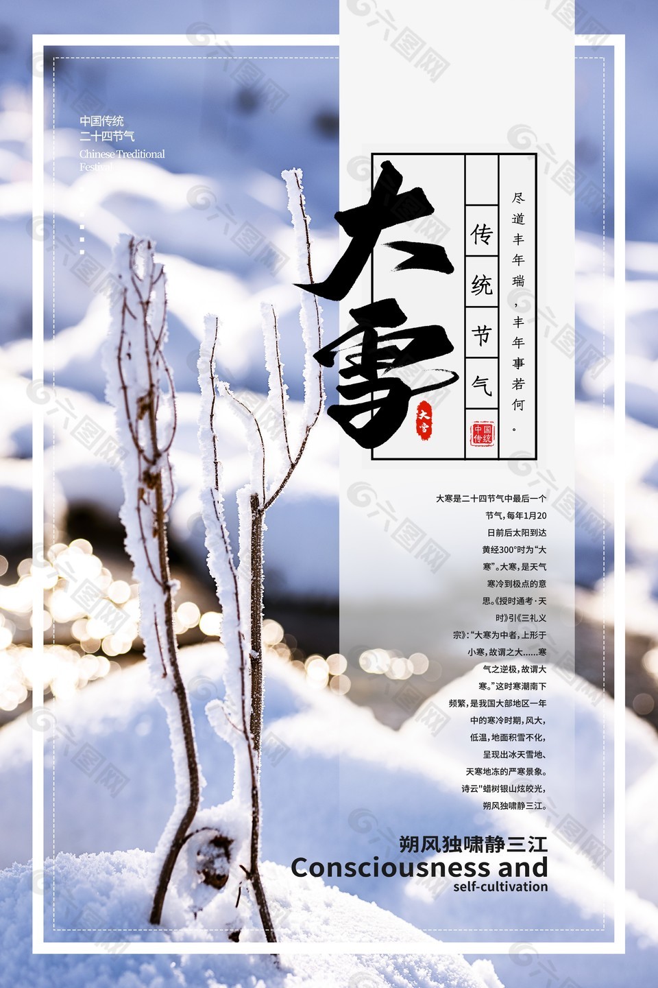 传统节气大雪质感插图海报
