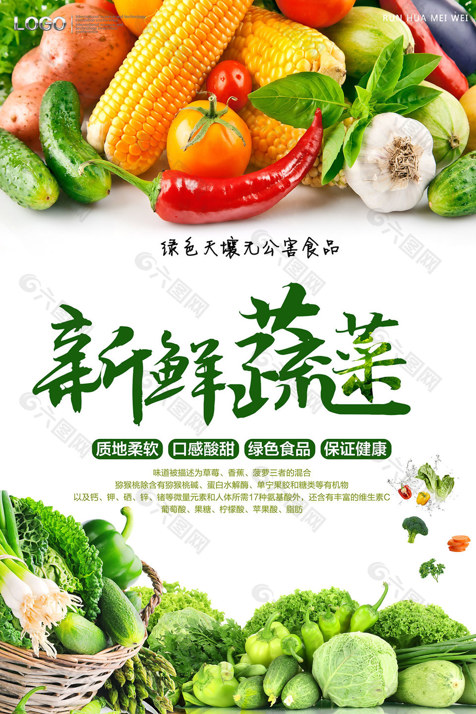 绿色新鲜蔬菜玉米海报