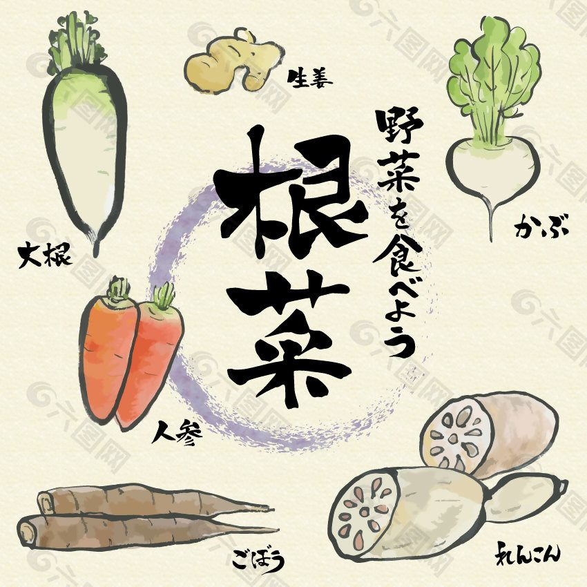 日式根菜美食插画