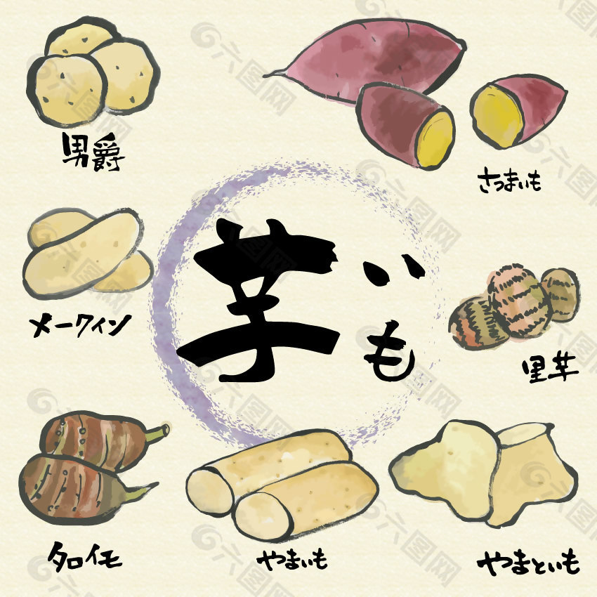 日式芋头美食插画