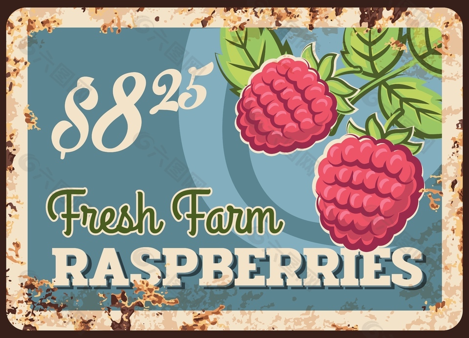 红树莓水果海报