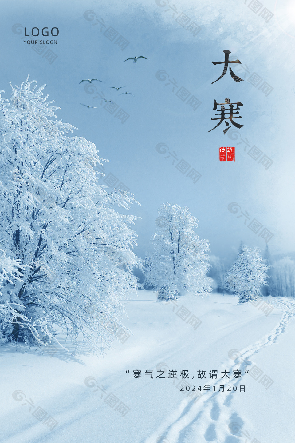 寒气之逆极大寒节气雪天摄影图手机海报