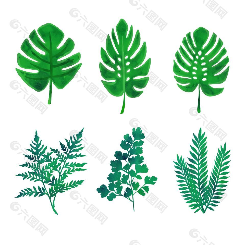 绿色自然植物树木树叶装饰