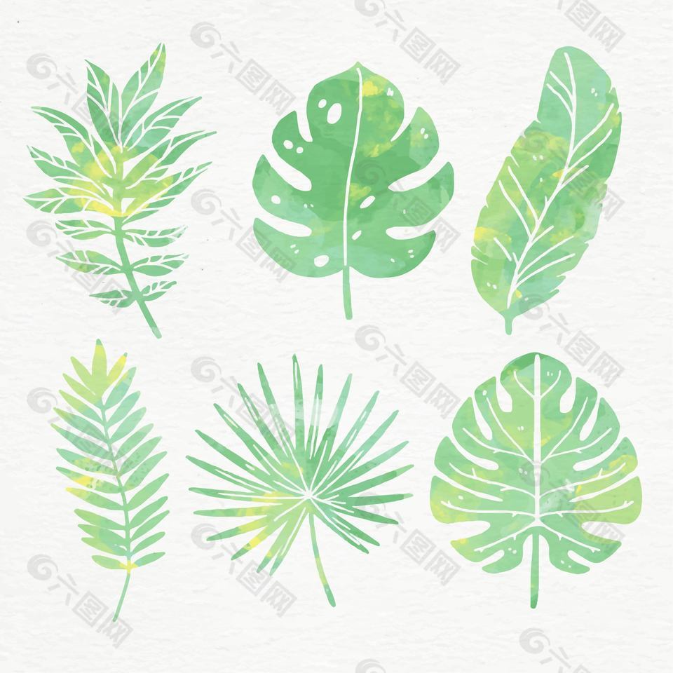 绿叶树叶植物装饰免抠元素