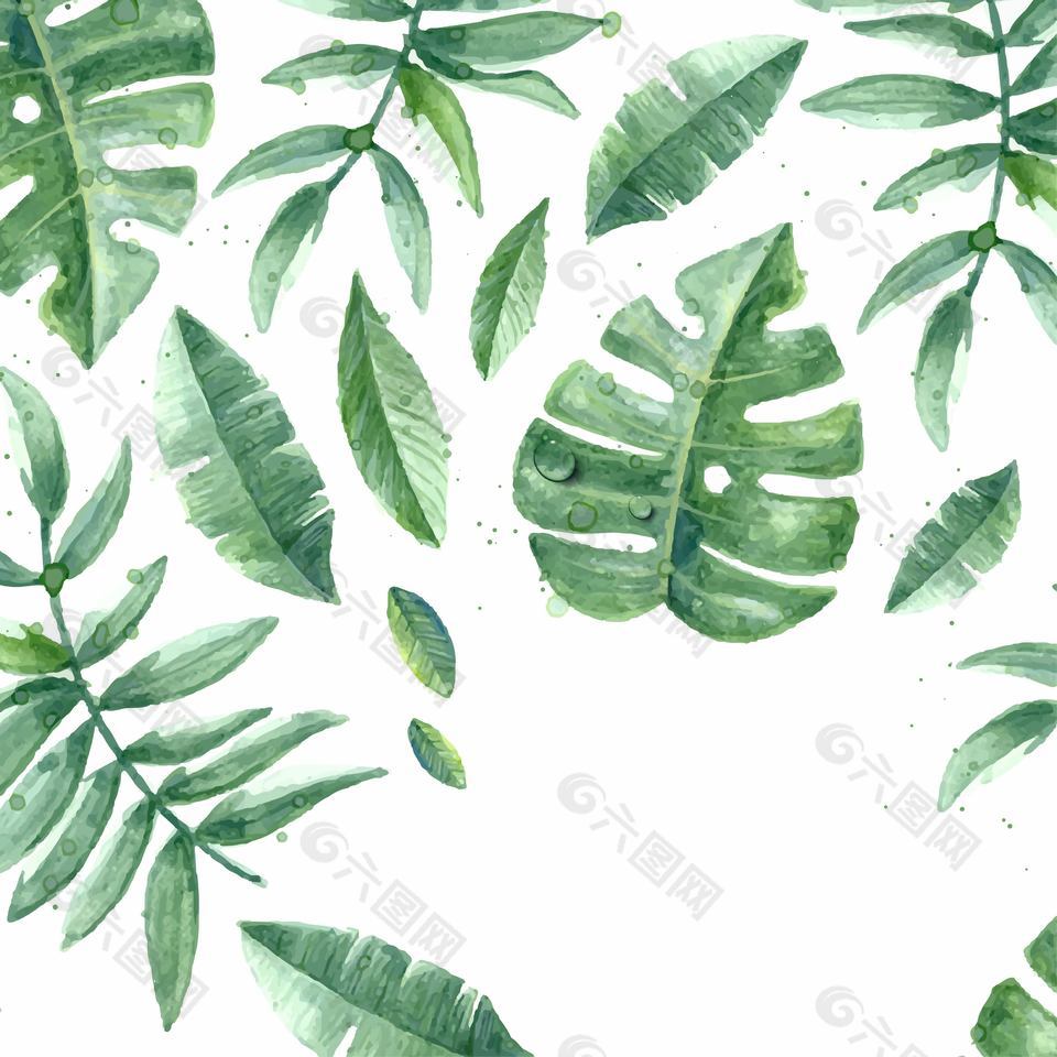 绿叶树叶素材装饰插画