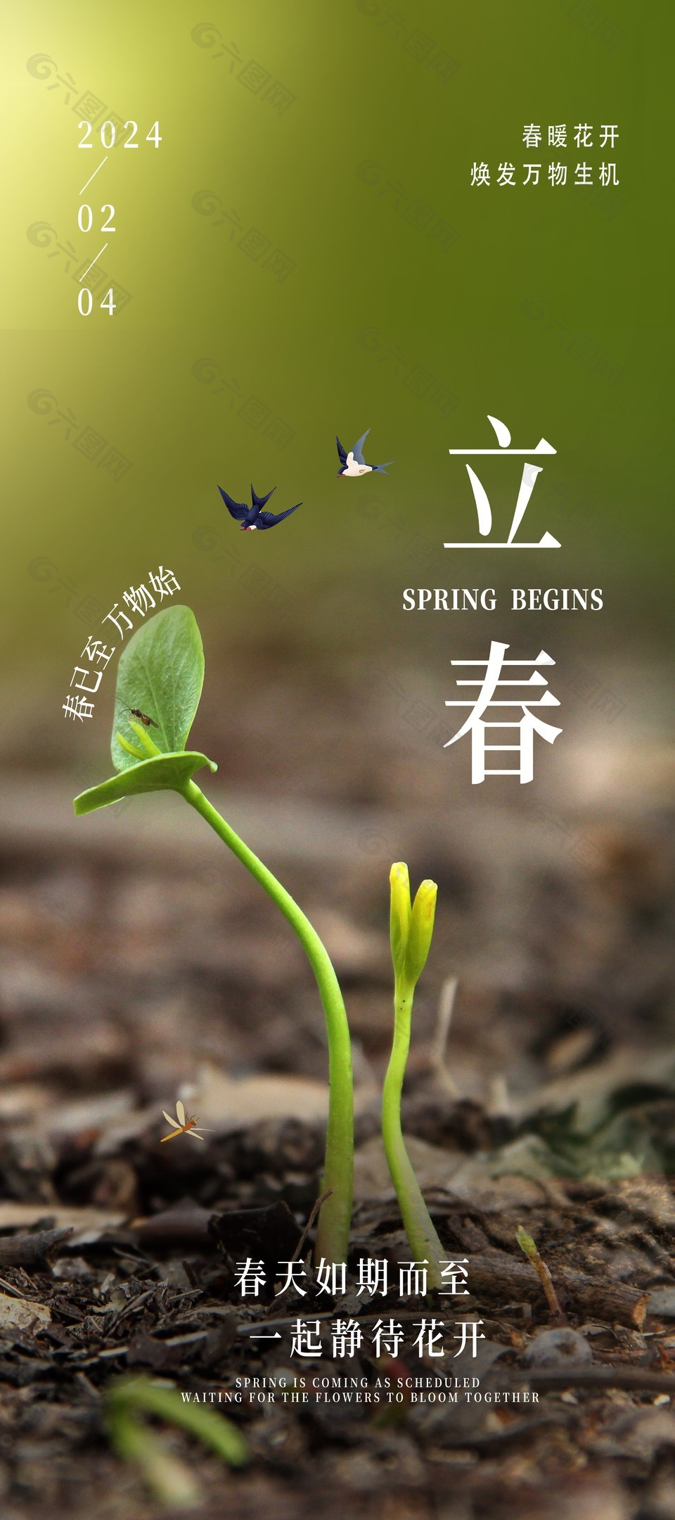立春节气万物始摄影图背景海报素材