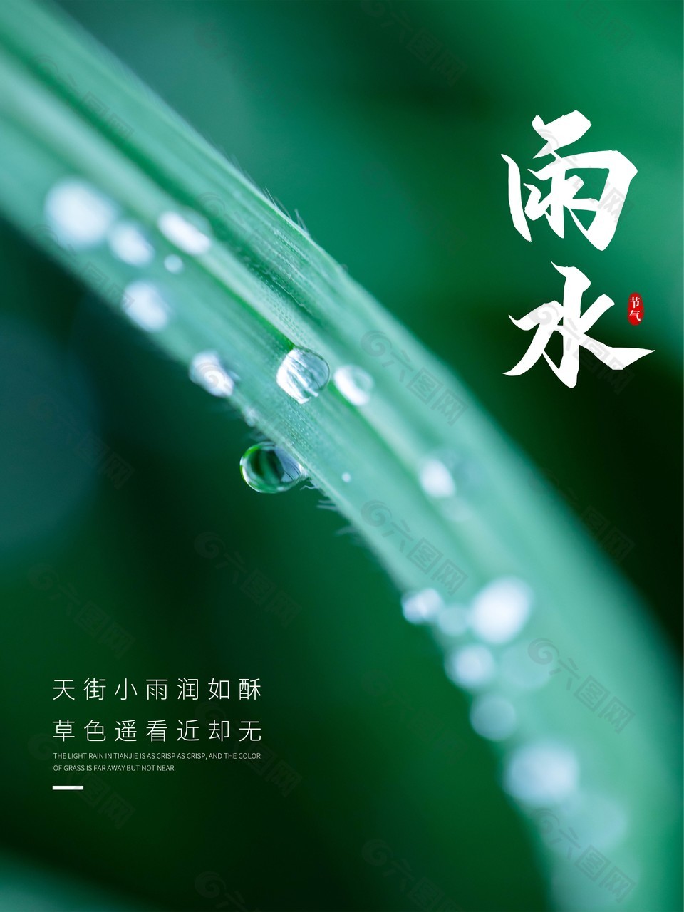 雨水时节清新绿植主题海报