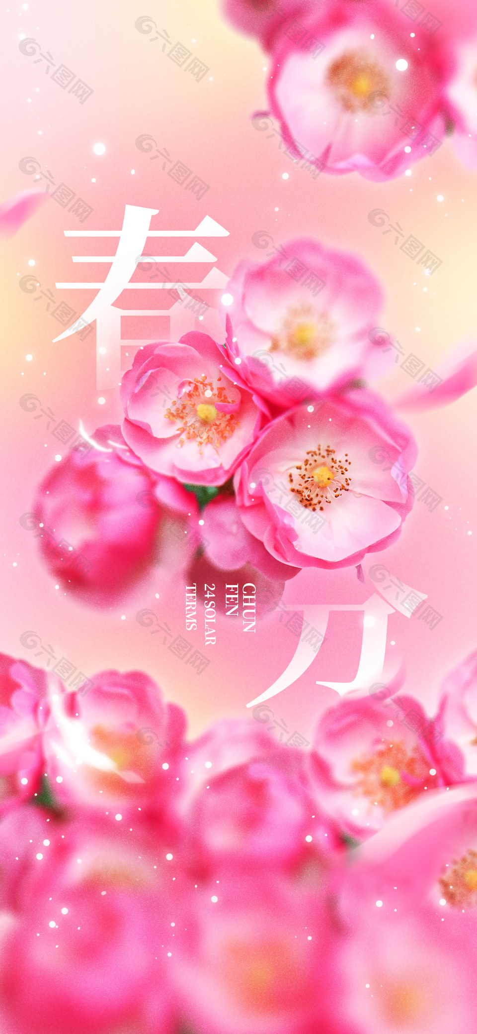 春日春分粉色花朵弥散风节气海报