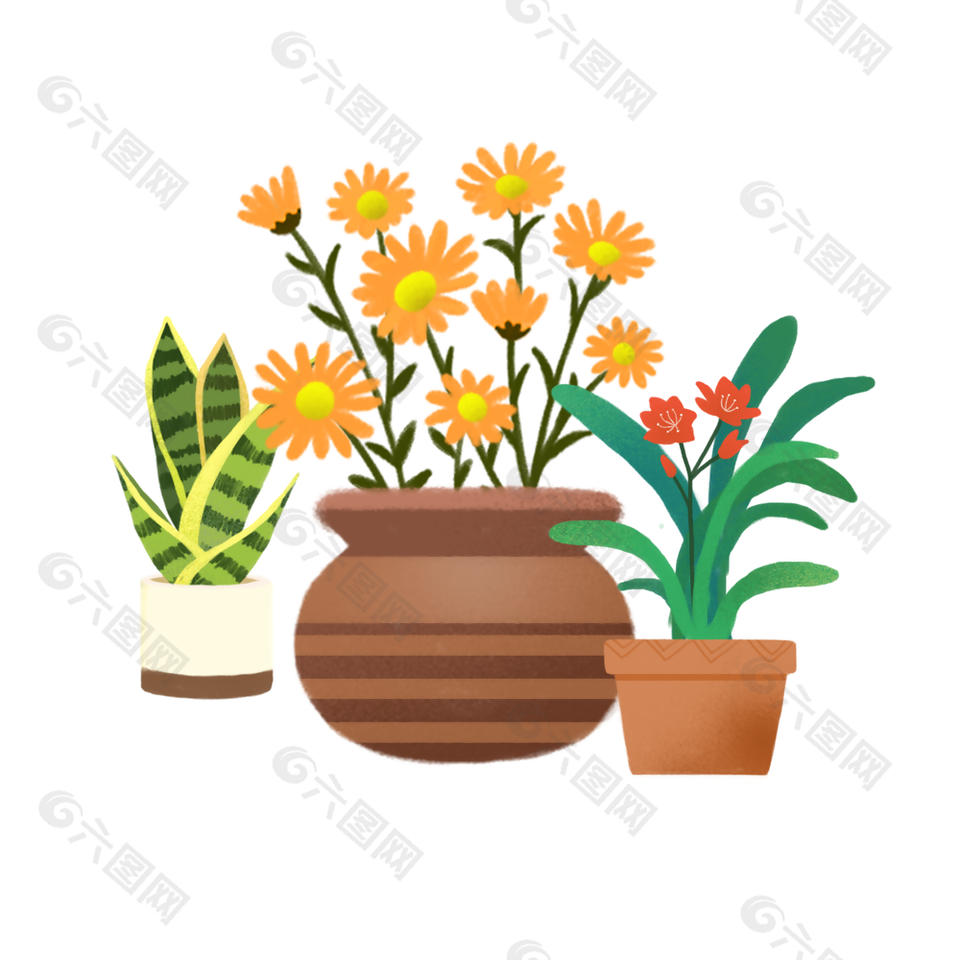 手绘虎皮兰小雏菊盆栽植物素材下载