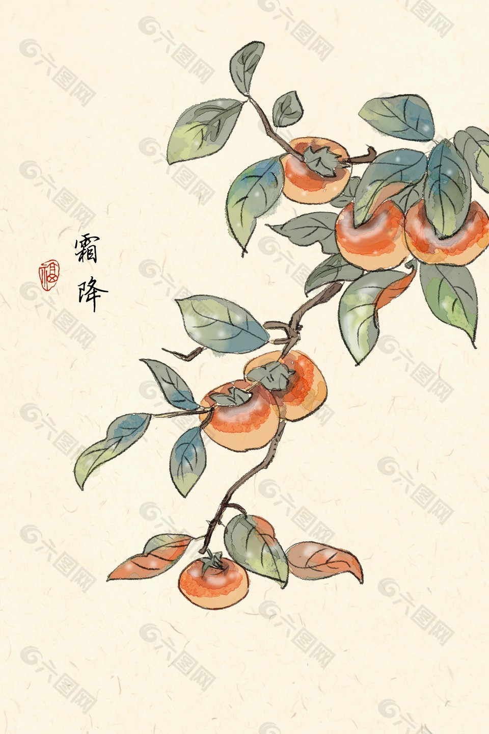 霜降节气柿子元素海报设计