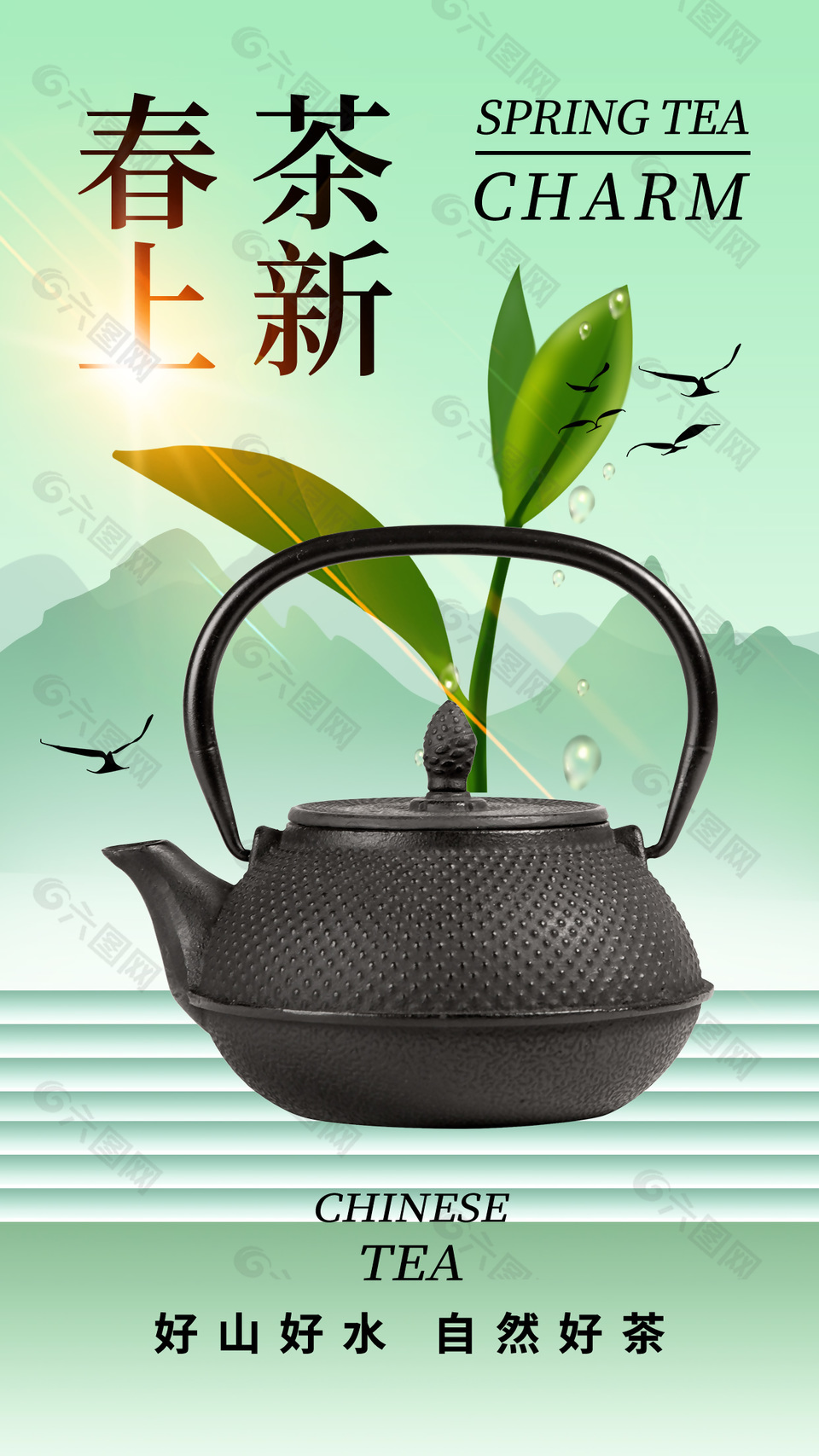 春茶上新茶壶摄影图背景海报