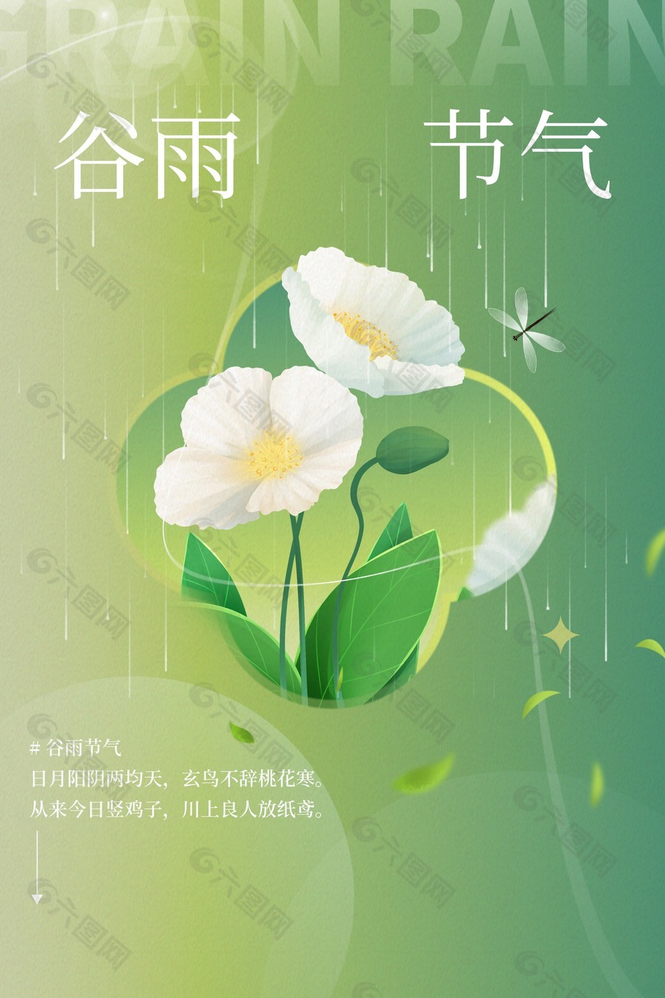 谷雨节气简约质感花卉插画海报素材