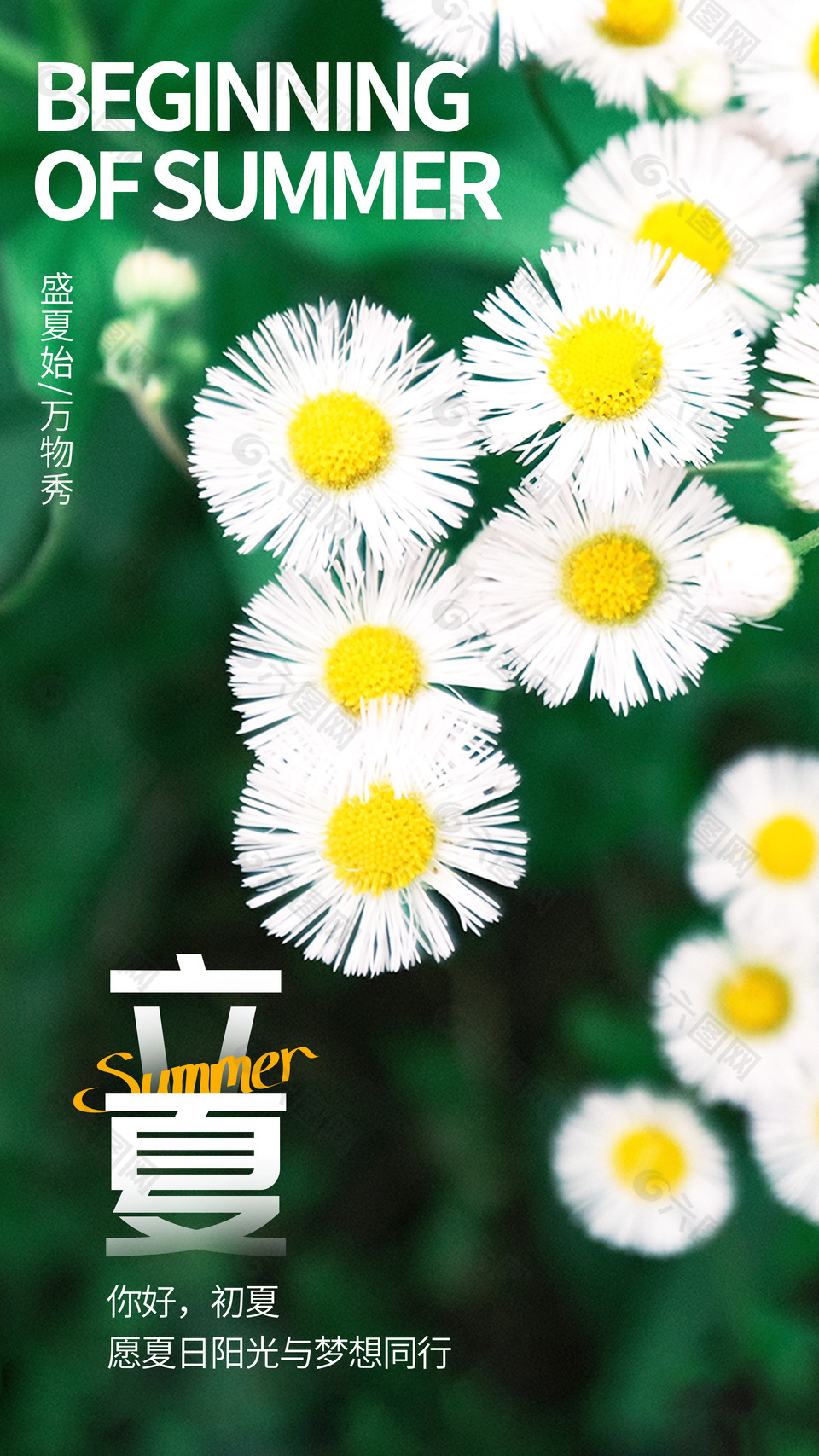 立夏时节创意小雏菊元素海报