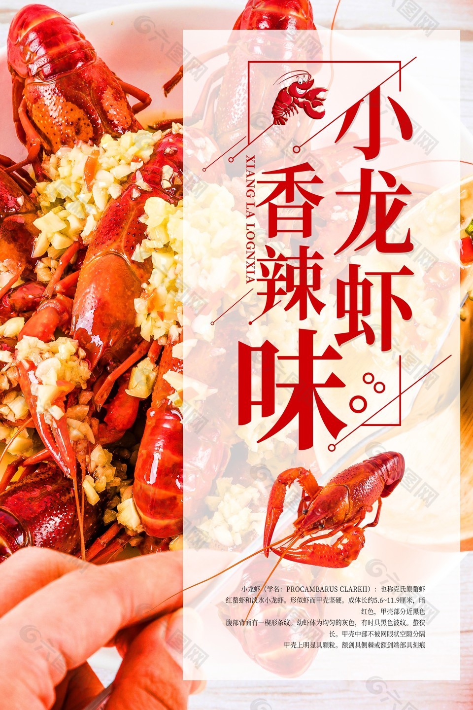 麻辣小龙虾蒜蓉料理中华美食主题海报