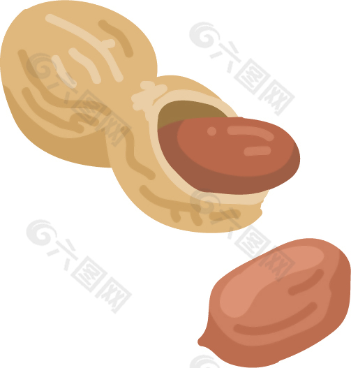 手绘花生果仁插画