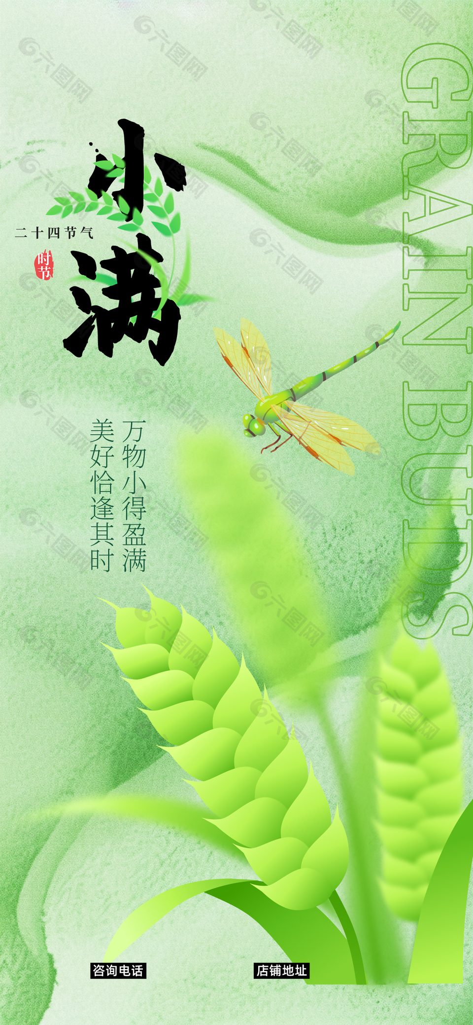 美好恰逢其时小满时节麦穗元素海报