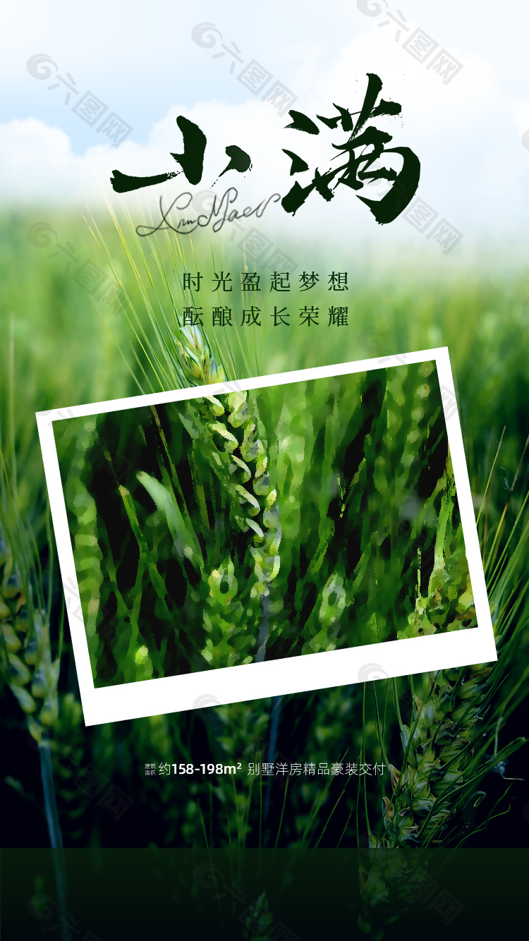 时光盈起梦想酝酿成长荣耀小满地产海报