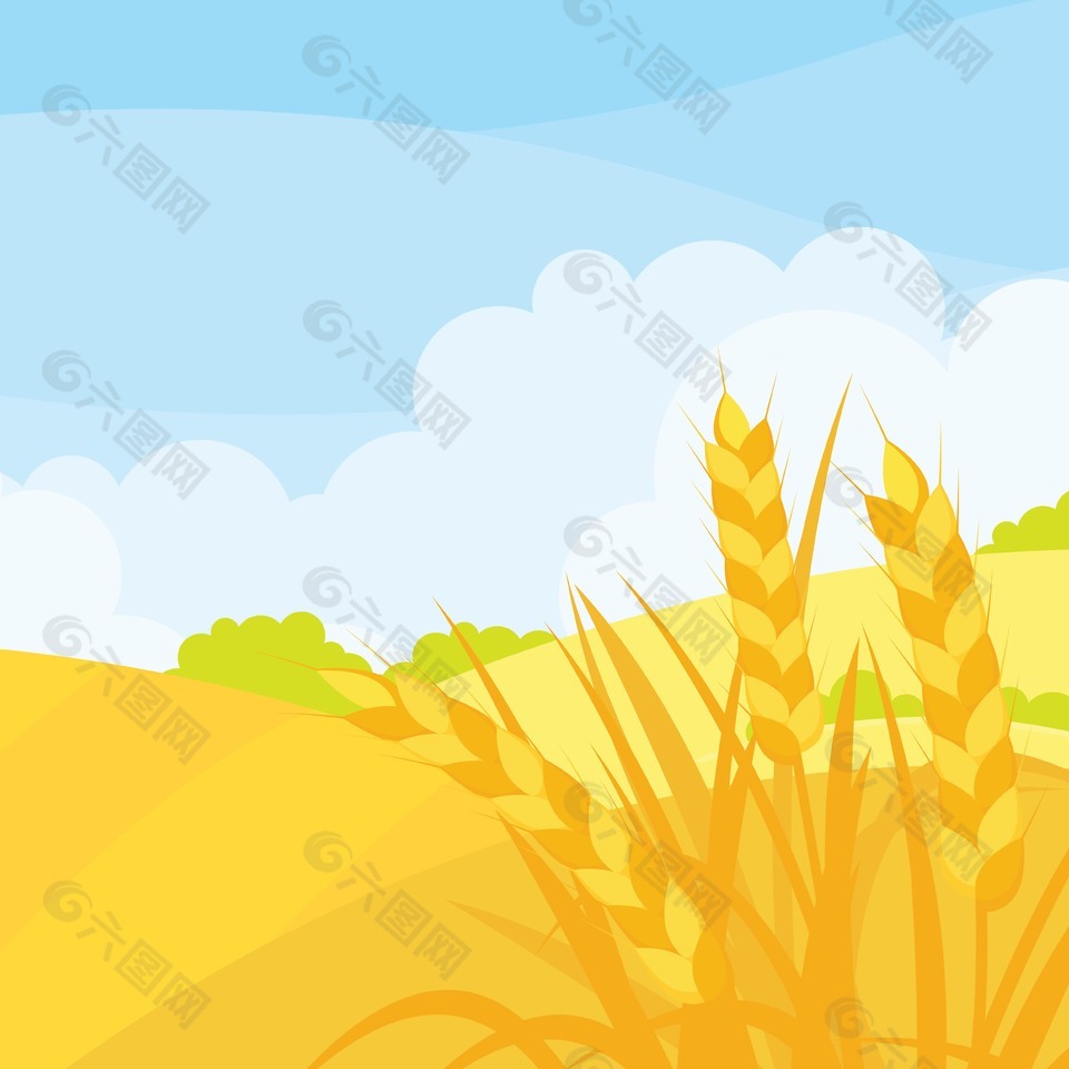 金黄的麦穗风景插画