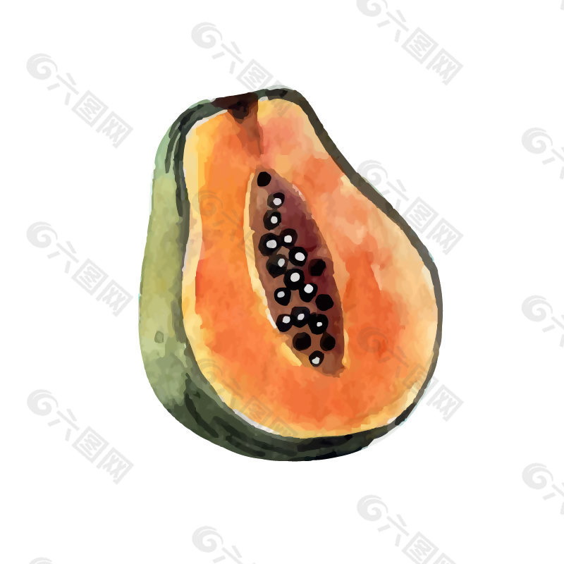创意木瓜水果插画