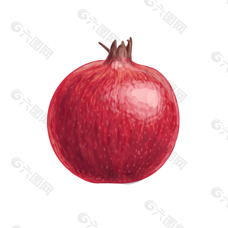 石榴水果插画