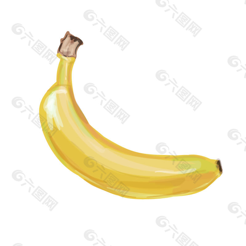 优质香蕉水果插画