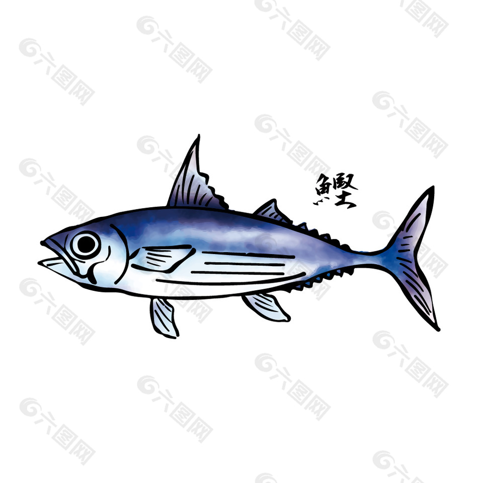 日式鲣鱼食材插画