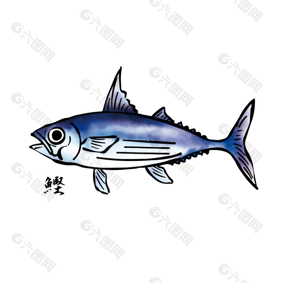 海鲜鲣鱼食材插画